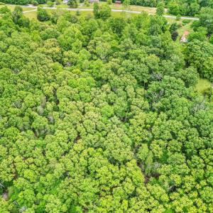 Photo #50 of 687 Gidsville Road, Amherst, VA 4.9 acres