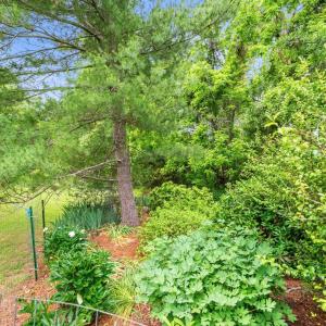 Photo #58 of 687 Gidsville Road, Amherst, VA 4.9 acres
