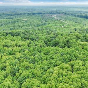 Photo #3 of 38 Frank Redd Rd, Fieldale, VA 16.5 acres