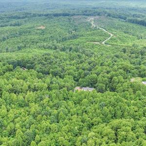 Photo #4 of 38 Frank Redd Rd, Fieldale, VA 16.5 acres