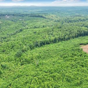 Photo #9 of 38 Frank Redd Rd, Fieldale, VA 16.5 acres