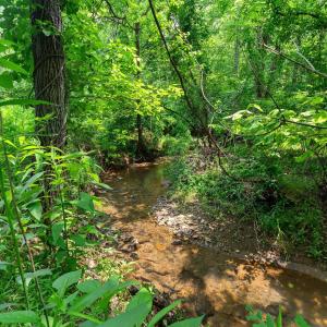 Photo #43 of 277 Crab Creek Rd, Monroe, VA 35.1 acres