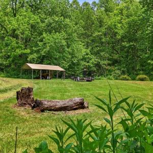 Photo #40 of 277 Crab Creek Rd, Monroe, VA 35.1 acres