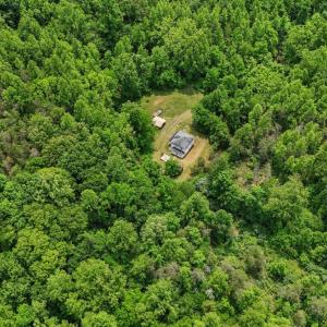 Photo #32 of 277 Crab Creek Rd, Monroe, VA 35.1 acres