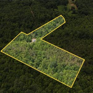 Photo #3 of 277 Crab Creek Rd, Monroe, VA 35.1 acres