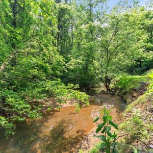 Photo #45 of 277 Crab Creek Rd, Monroe, VA 35.1 acres