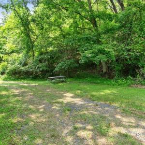 Photo #44 of 277 Crab Creek Rd, Monroe, VA 35.1 acres