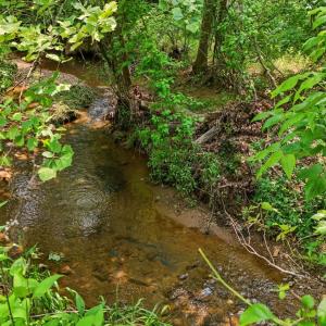 Photo #39 of 277 Crab Creek Rd, Monroe, VA 35.1 acres