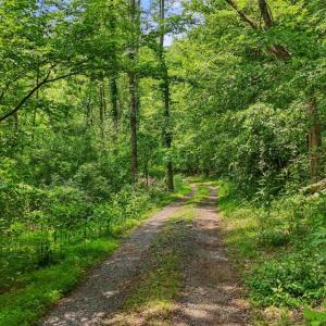 Photo #31 of 277 Crab Creek Rd, Monroe, VA 35.1 acres