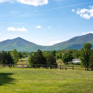 Photo #78 of 1129 Croft Lane, Bedford, VA 43.4 acres