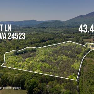 Photo #77 of 1129 Croft Lane, Bedford, VA 43.4 acres