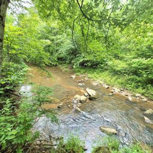Photo #3 of 2995 Bear Creek Road, Rustburg, VA 25.3 acres