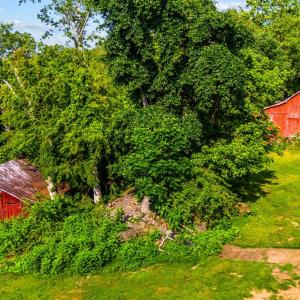 Photo #7 of 1807 Wheats Valley Road, Bedford, VA 64.4 acres