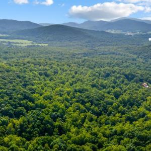 Photo #45 of 1807 Wheats Valley Road, Bedford, VA 64.4 acres