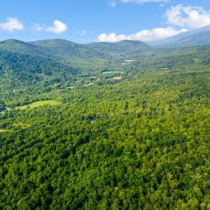 Photo #46 of 1807 Wheats Valley Road, Bedford, VA 64.4 acres