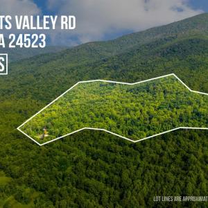 Photo #42 of 1807 Wheats Valley Road, Bedford, VA 64.4 acres