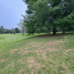Photo #37 of 100 New Chapel Road, Rustburg, VA 1.7 acres