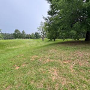Photo #9 of 100 New Chapel Road, Rustburg, VA 1.7 acres