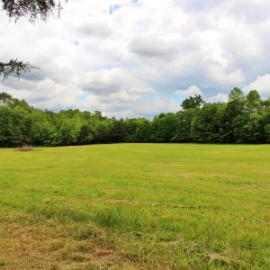 Photo #13 of 10008 Thomas Jefferson Highway, Charlotte Court House, VA 18.1 acres