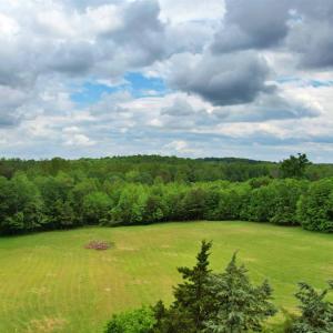 Photo #7 of 10008 Thomas Jefferson Highway, Charlotte Court House, VA 18.1 acres