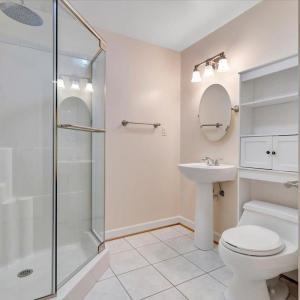Basement Bathroom