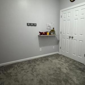 At the far end of the hall is another room that does not have a window but it does have a large closet.