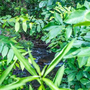 Photo #32 of 1121 Red Hill Road, Big Island, VA 1.3 acres