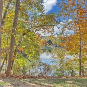 Photo #68 of 16358 Moneta Road, Moneta, VA 1.6 acres