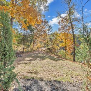 Photo #69 of 16358 Moneta Road, Moneta, VA 1.6 acres