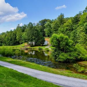 Photo #12 of 1582 Venturous Trail, Goode, VA 12.5 acres