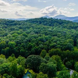 Photo #8 of 1582 Venturous Trail, Goode, VA 12.5 acres