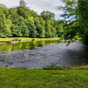 Photo #74 of 1582 Venturous Trail, Goode, VA 12.5 acres