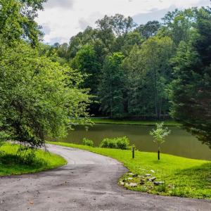 Photo #14 of 1582 Venturous Trail, Goode, VA 12.5 acres