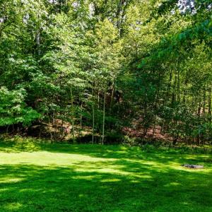 Photo #97 of 1582 Venturous Trail, Goode, VA 12.5 acres