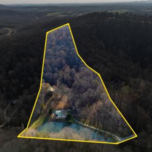 Photo #5 of 1582 Venturous Trail, Goode, VA 12.5 acres