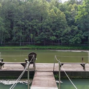 Photo #6 of 1582 Venturous Trail, Goode, VA 12.5 acres