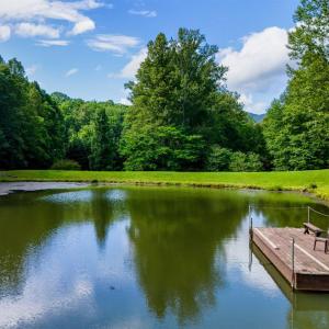 Photo #75 of 1582 Venturous Trail, Goode, VA 12.5 acres