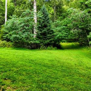 Photo #96 of 1582 Venturous Trail, Goode, VA 12.5 acres