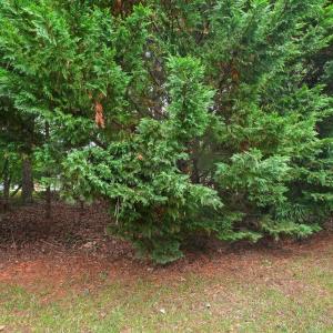 Photo #41 of 158 Salisbury Circle, Lynchburg, VA 0.0 acres