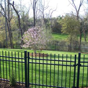 Photo #66 of 115 Trinity Court, Lynchburg, VA 2.5 acres