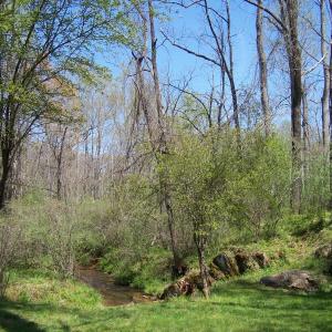 Photo #69 of 115 Trinity Court, Lynchburg, VA 2.5 acres