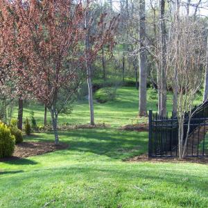 Photo #70 of 115 Trinity Court, Lynchburg, VA 2.5 acres