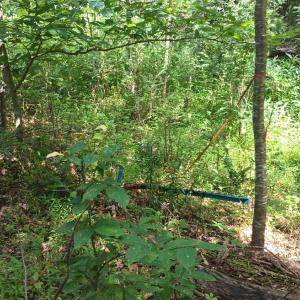Photo #45 of 176 Toms Lane, Roseland, VA 1.9 acres