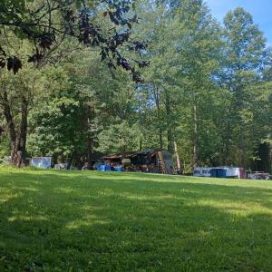 Photo #6 of 176 Toms Lane, Roseland, VA 1.9 acres