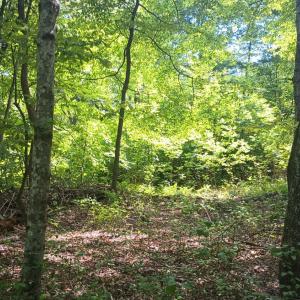 Photo #47 of 176 Toms Lane, Roseland, VA 1.9 acres