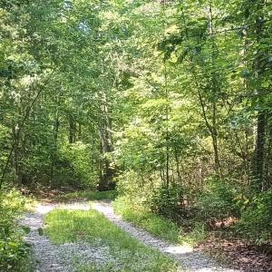 Photo #52 of 176 Toms Lane, Roseland, VA 1.9 acres