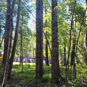 Photo #44 of 176 Toms Lane, Roseland, VA 1.9 acres