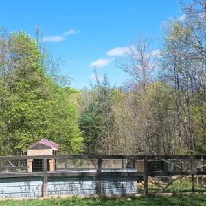 Photo #40 of 176 Toms Lane, Roseland, VA 1.9 acres