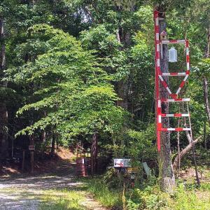 Photo #55 of 176 Toms Lane, Roseland, VA 1.9 acres