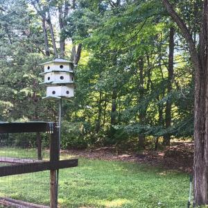 Photo #38 of 176 Toms Lane, Roseland, VA 1.9 acres